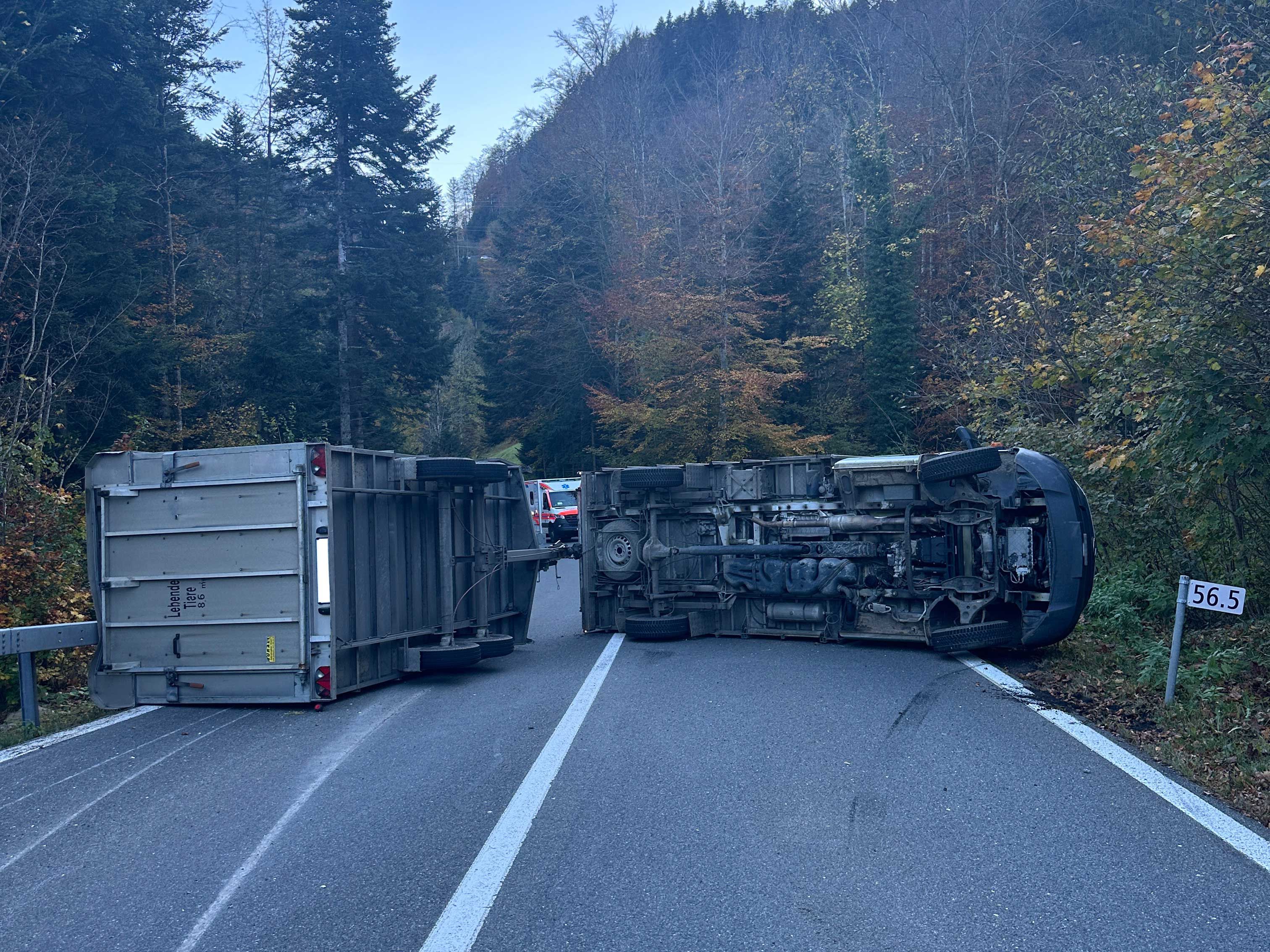 Une bétaillère se renverse et bloque la route